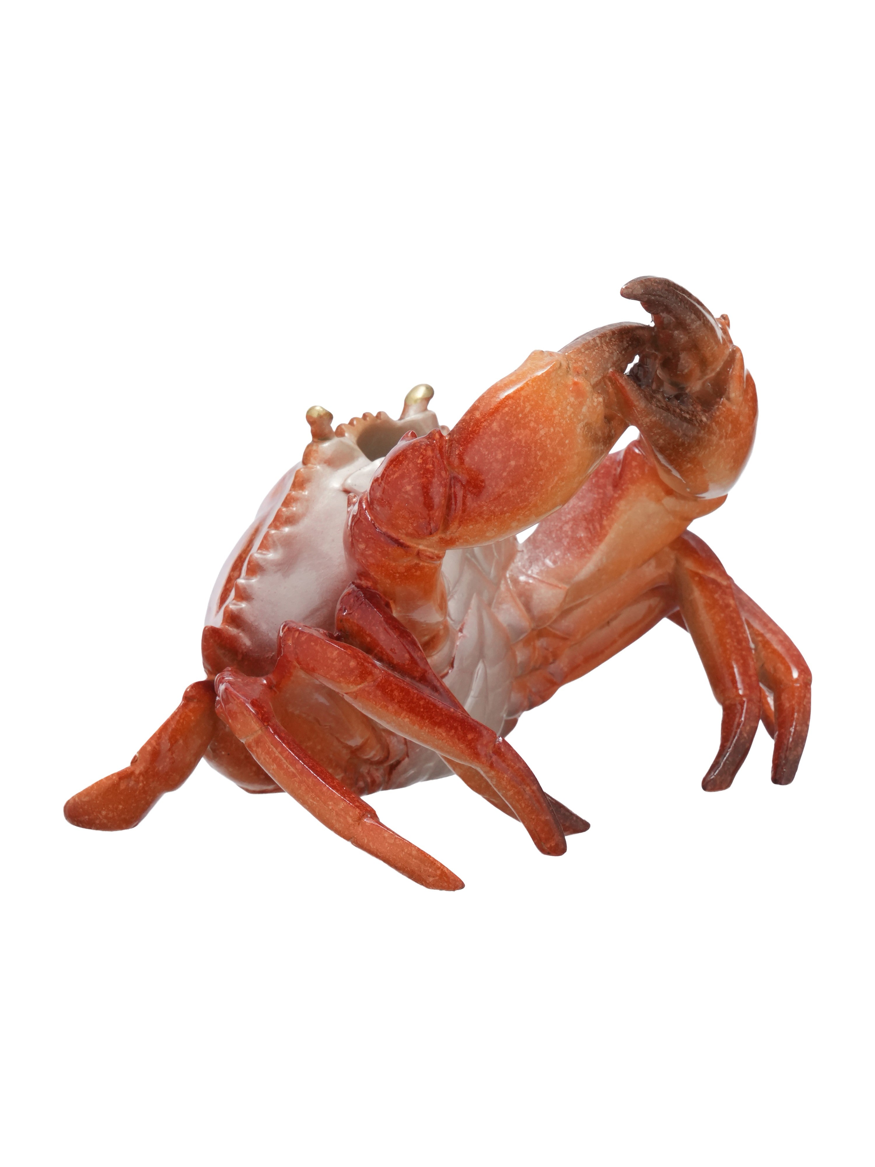Clawcellar Wine Bottle Holder
