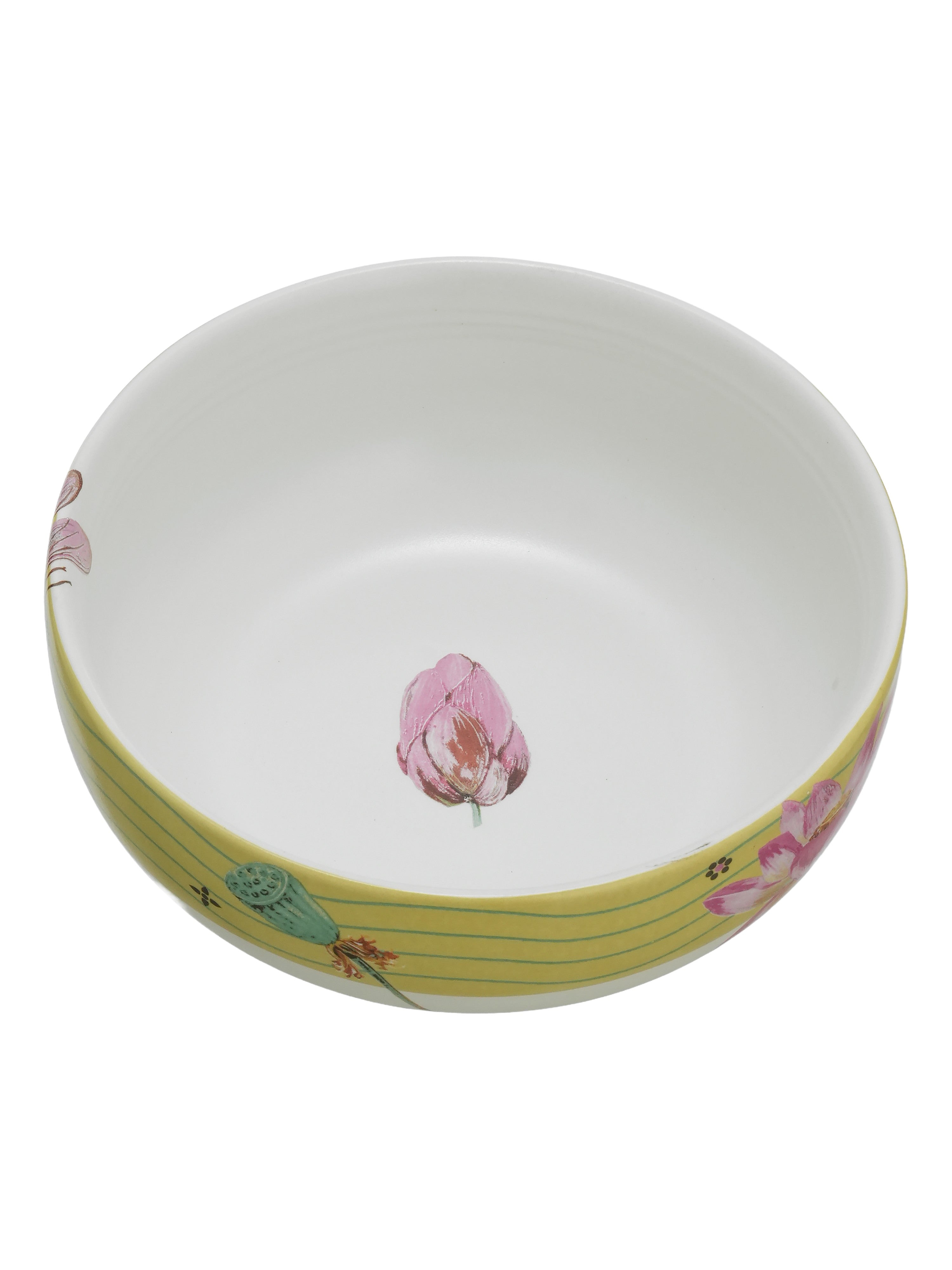 Dragonfly Bloom Porcelain Dinner Set (15 Pcs)