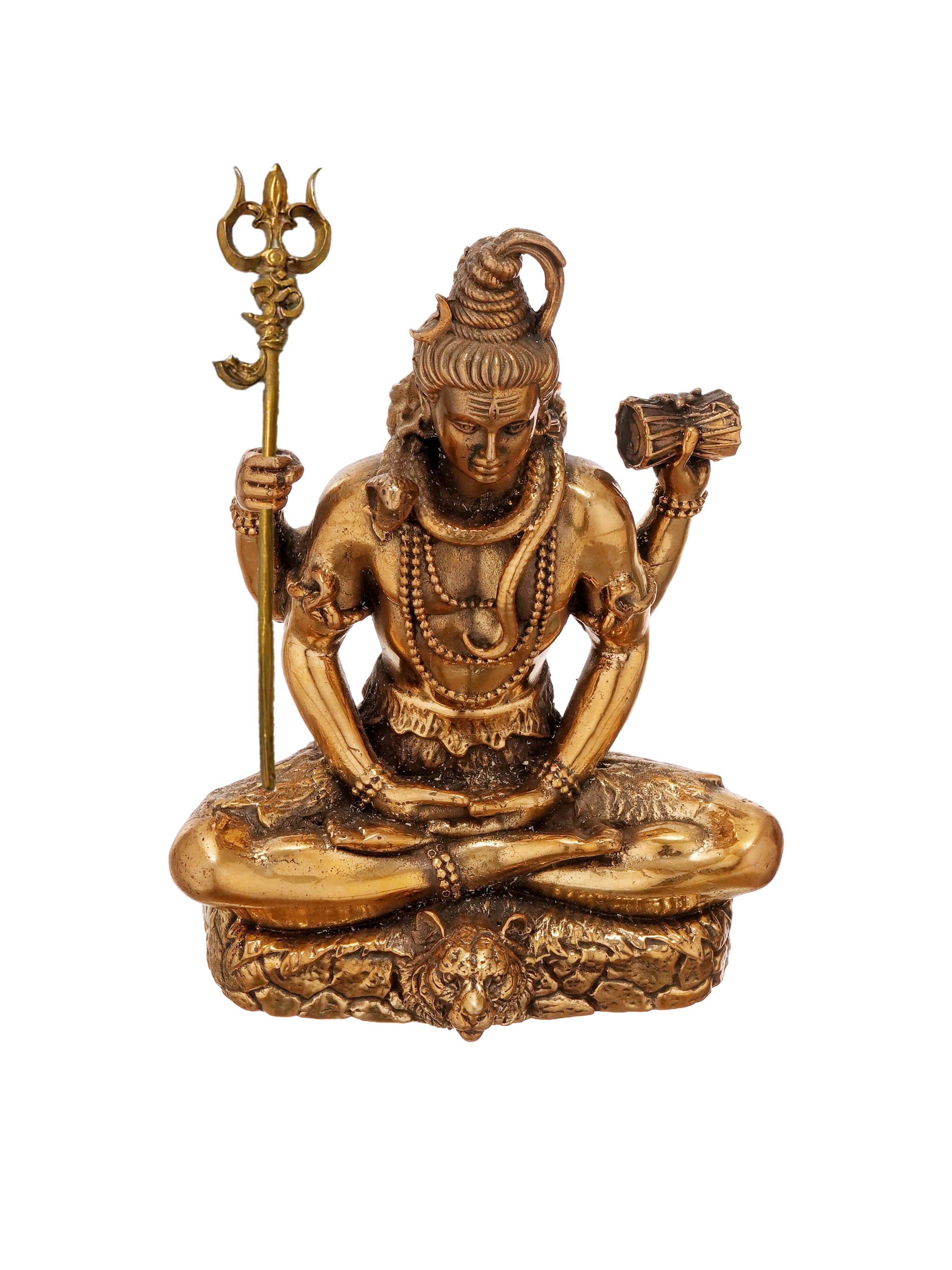 ShivSaumya Brass Idol