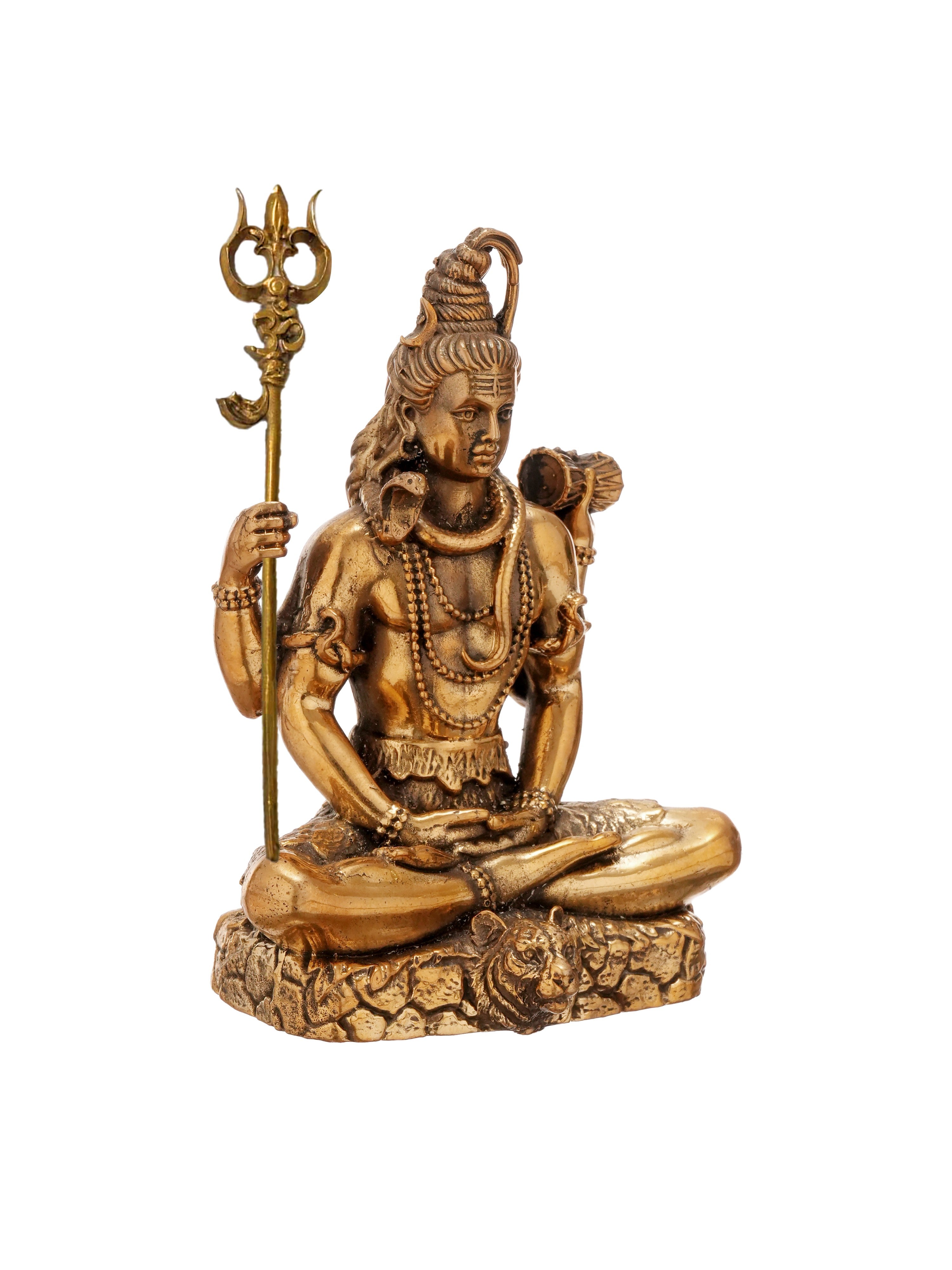 ShivSaumya Brass Idol