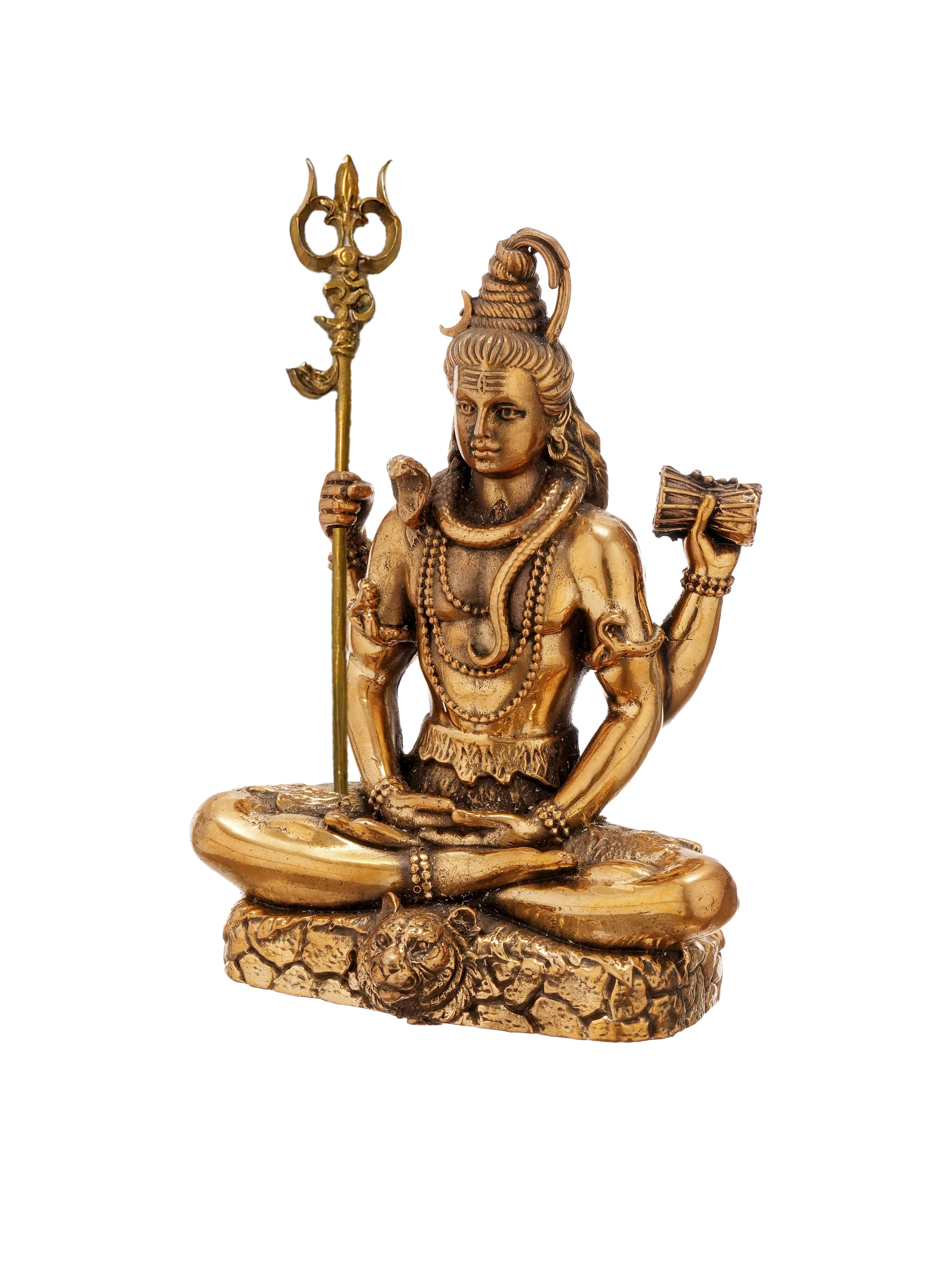 ShivSaumya Brass Idol