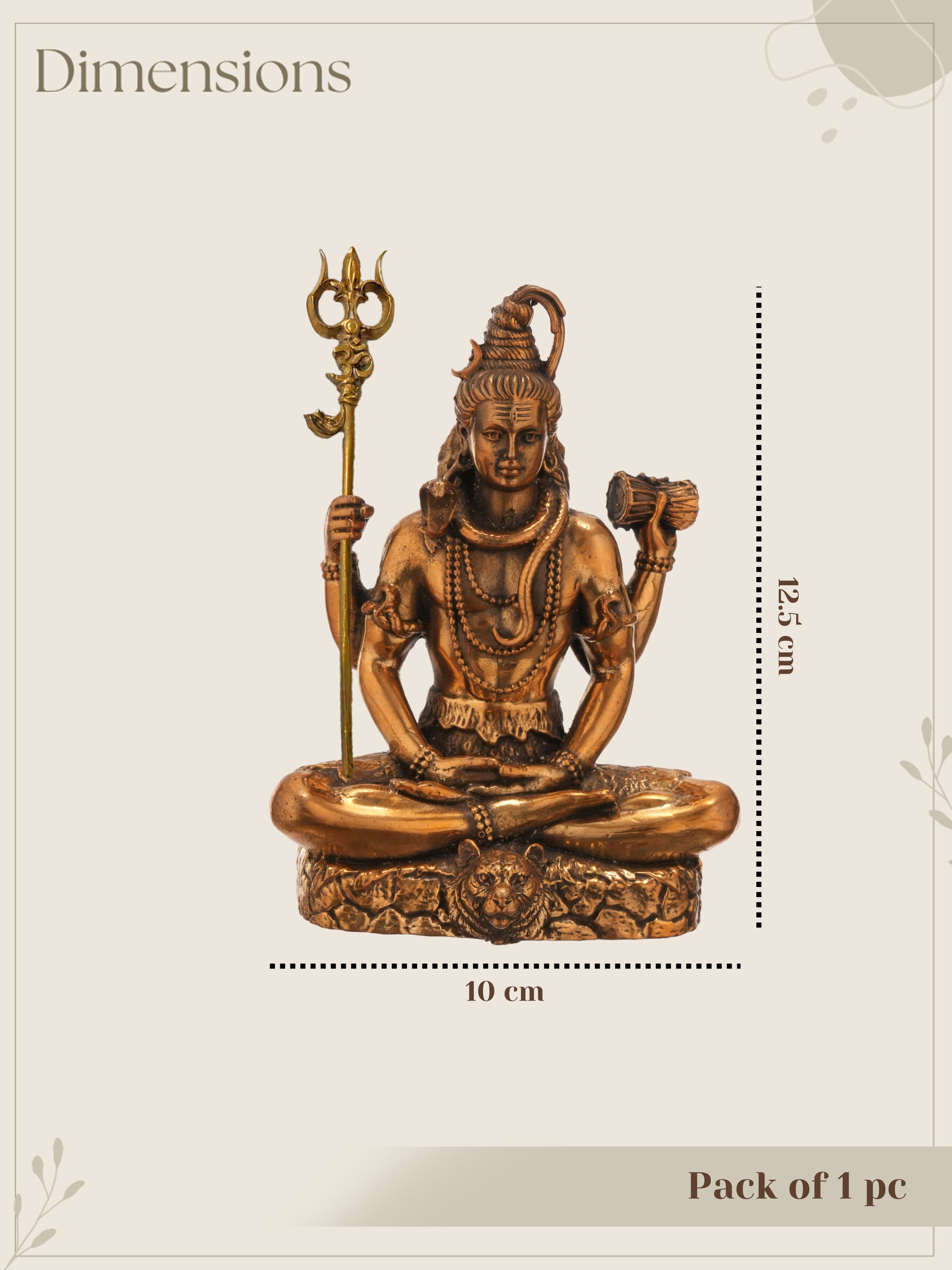 ShivSaumya Brass Idol