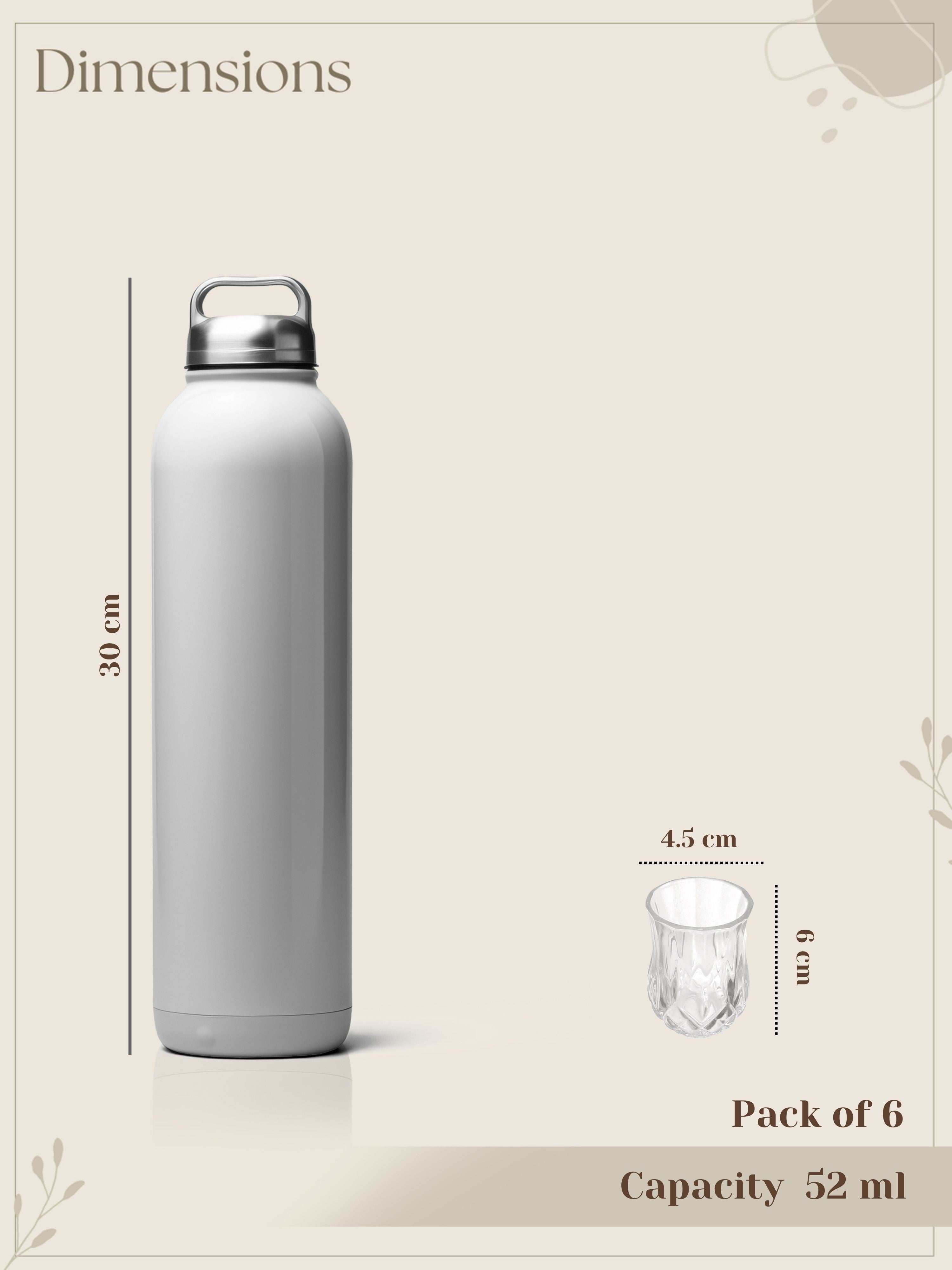 BlazeSip Shot Glasses-Pack of 6