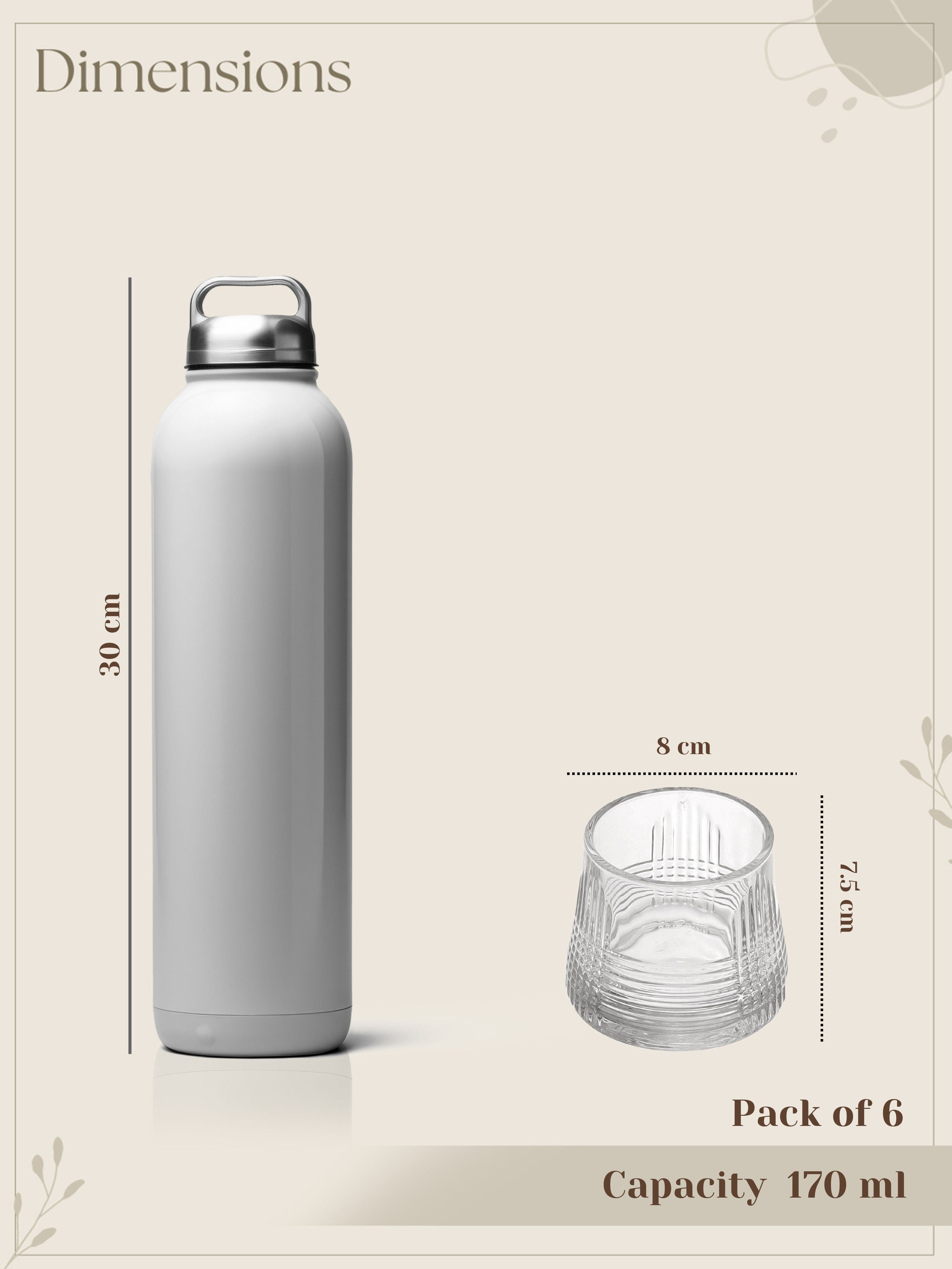 SpinDram Whiskey Glass- Pack of 6