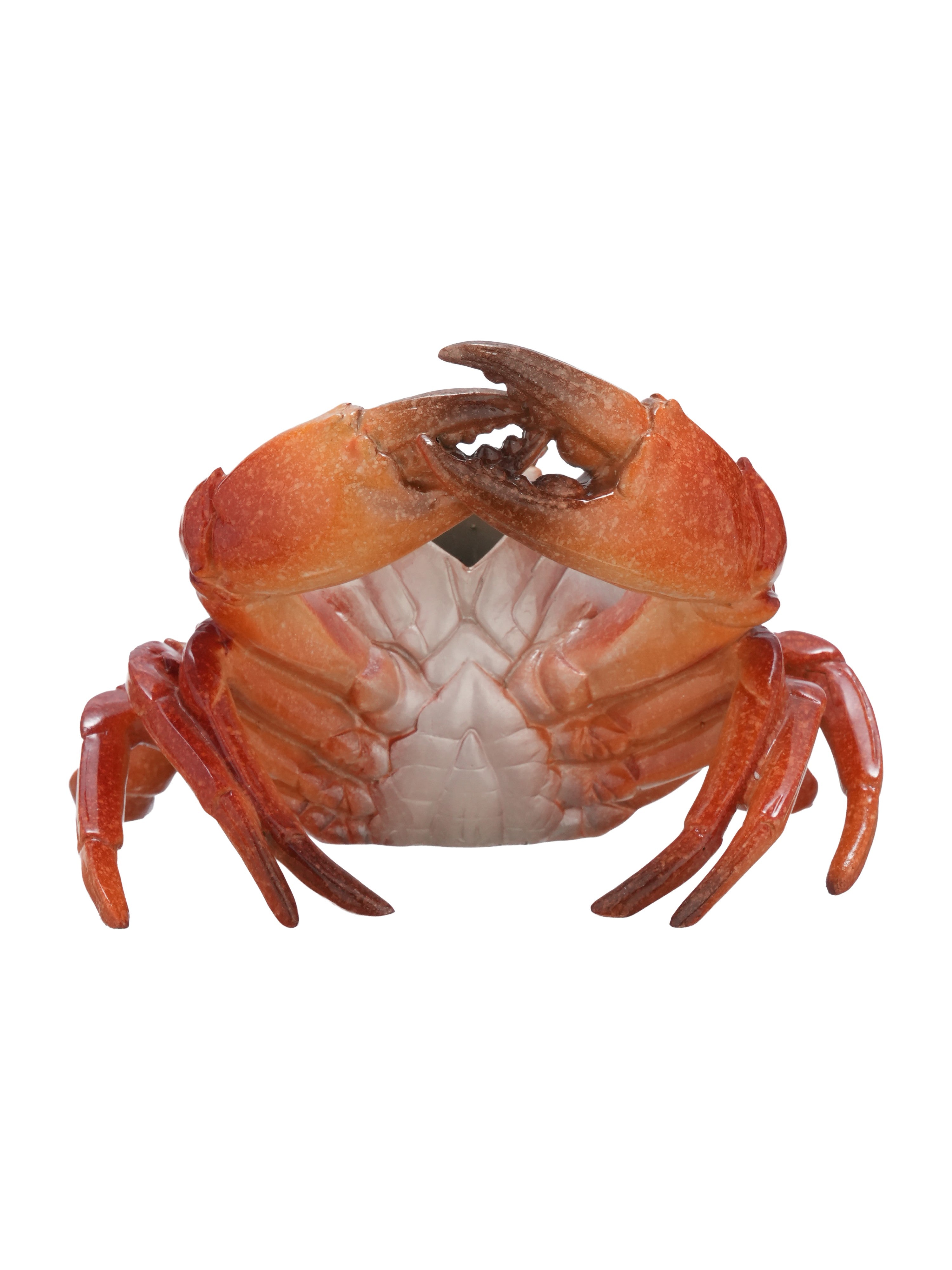 Clawcellar Wine Bottle Holder