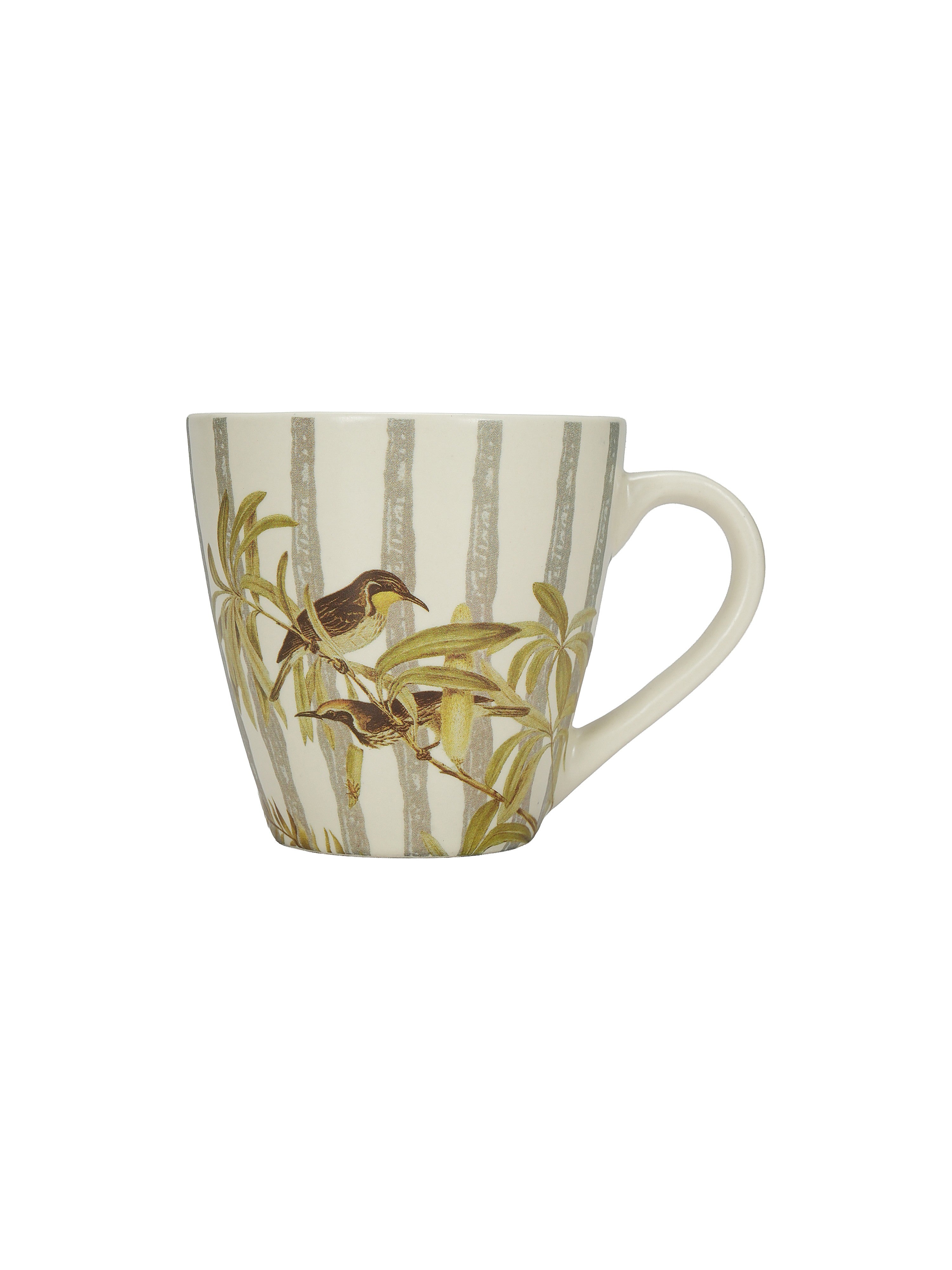 TropiLine Porcelain Mugs (Pack of 2)